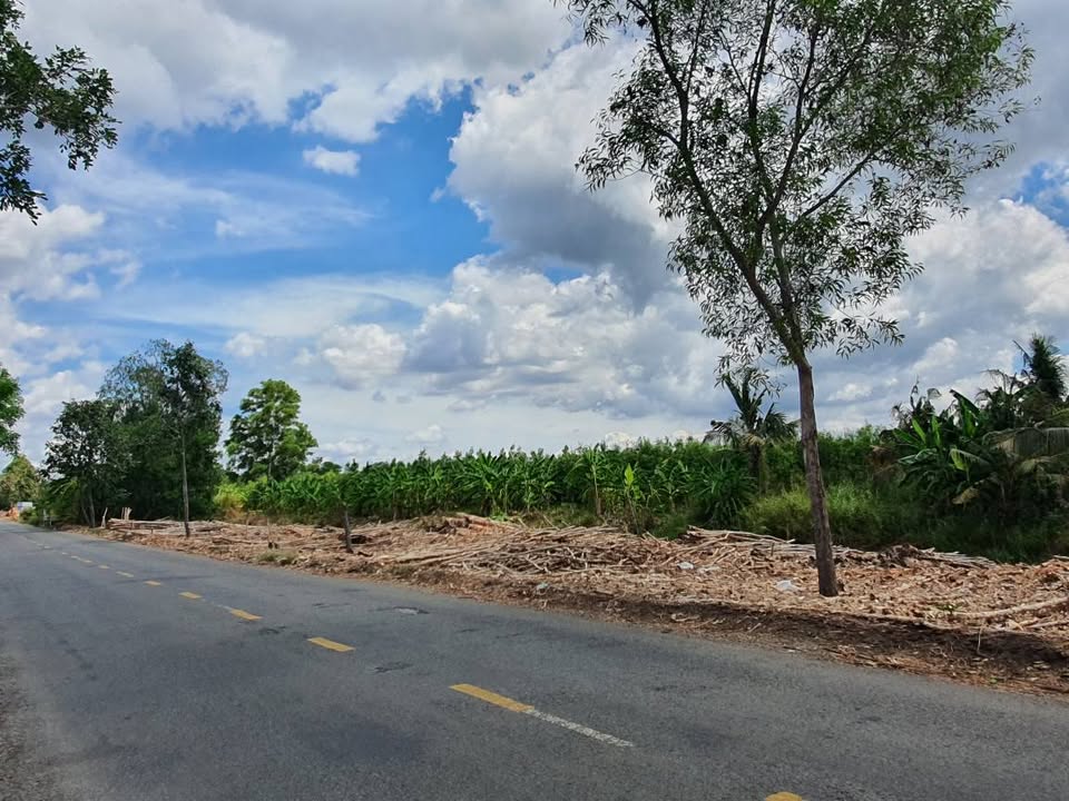 Farm 10ha tại Khánh An, U Minh, Cà Mau - Mặt tiền 140m, Tiềm năng phát triển lớn