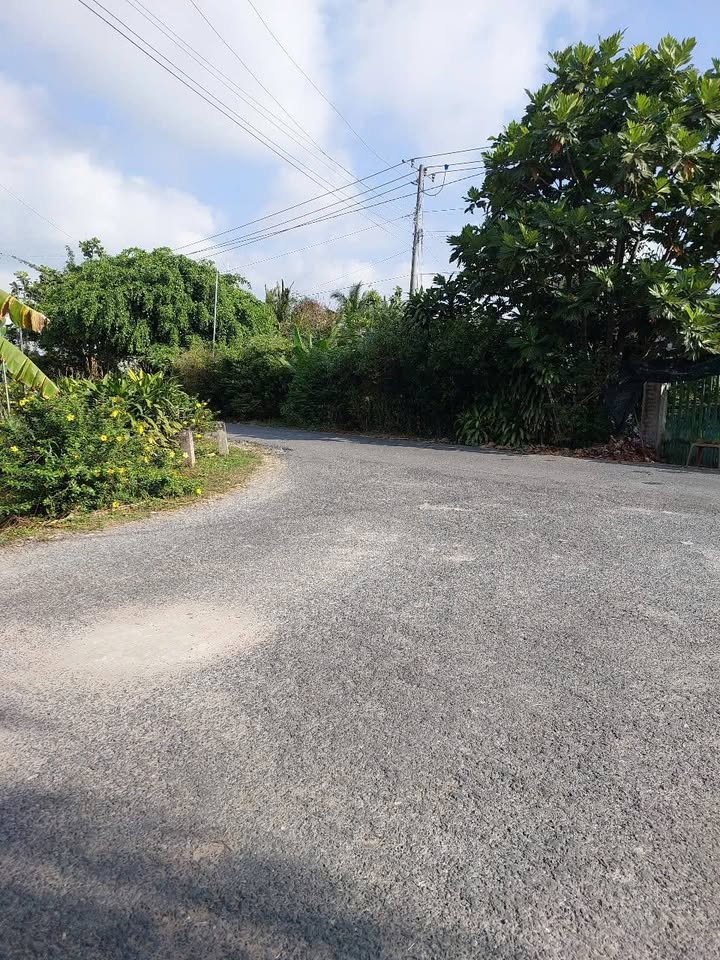 Đất thổ cư 280m² và 1.113m² đất cây lâu năm tại Bình Phước - Giá chỉ 2,2 triệu/m²!