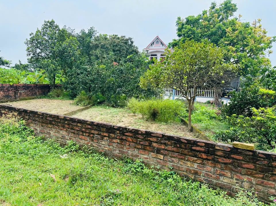 Đất thổ cư Tân Hương, Phổ Yên 140m² giá chỉ 9xx triệu - Cơ hội đầu tư tuyệt vời!