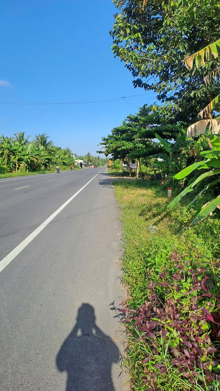 Đất mặt tiền đường Nhựa Gạch Rô, xã Nhị Long, 1853m² giá 2.1 tỷ - Cơ hội đầu tư hấp dẫn!