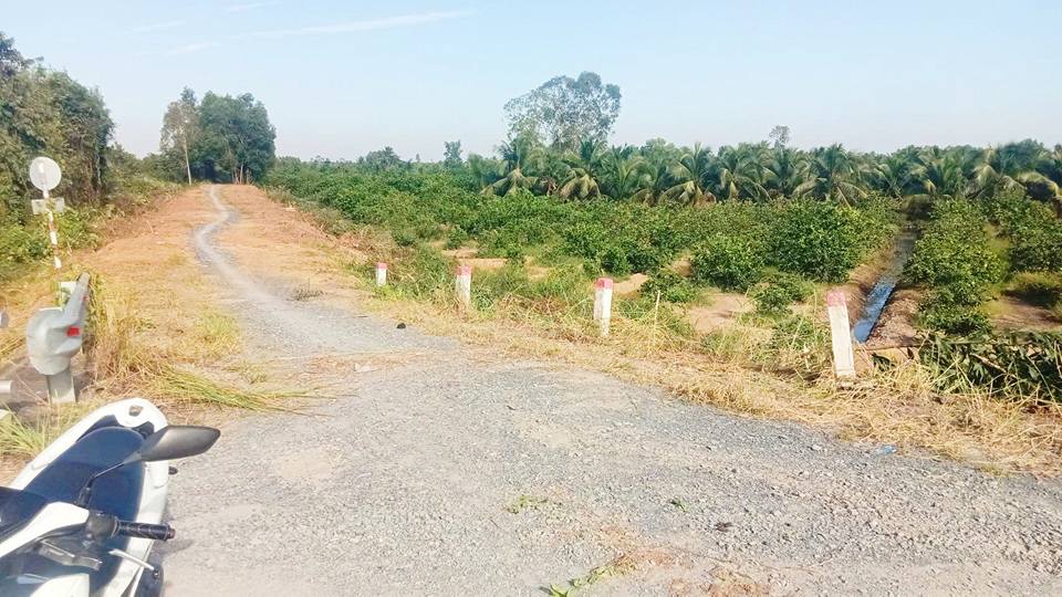 Đất vườn 500m² Bến Lức giá 475 triệu - Hàng hiếm, view kênh tuyệt đẹp!