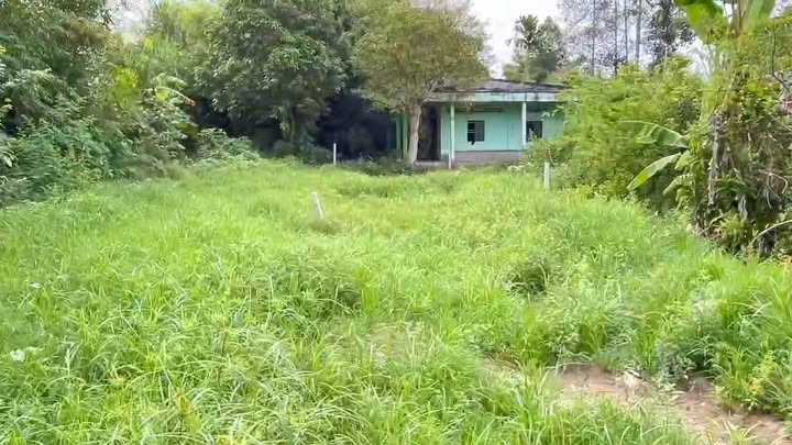 Đất thổ cư Đường Phù Ly, phường Đông Bình, Vĩnh Long 210m² giá 910 triệu - Đầu tư sinh lời cao!