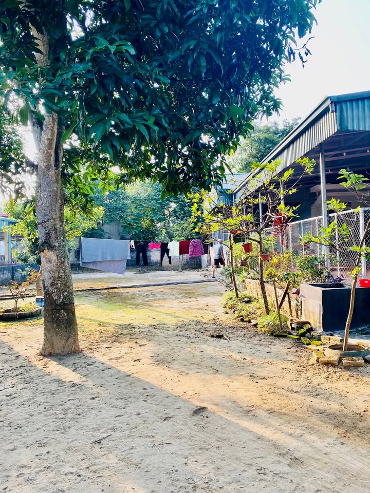 Đất nền 230m² tại Hoàng Cương, Thanh Ba - Giá chỉ 980 triệu