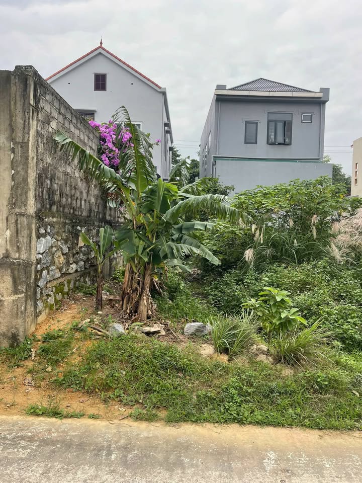 Đất nền mặt tiền Tô Ngọc Vân, Bắc Lý, 112m² giá 1.499 tỷ - Cơ hội đầu tư hiếm có!