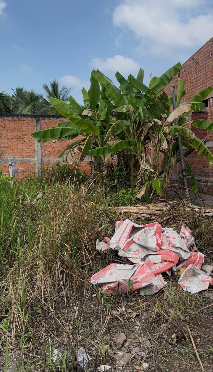 Đất nền Quới Sơn 50m² giá 420 triệu - Cơ hội đầu tư tuyệt vời!