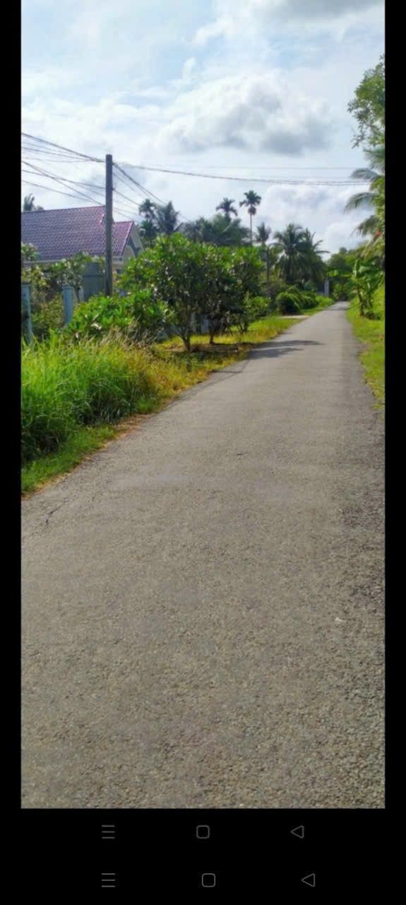 Đất nền Phong Nẫm, Giồng Trôm 319m² giá 900 triệu - Đầu tư sinh lời ngay!