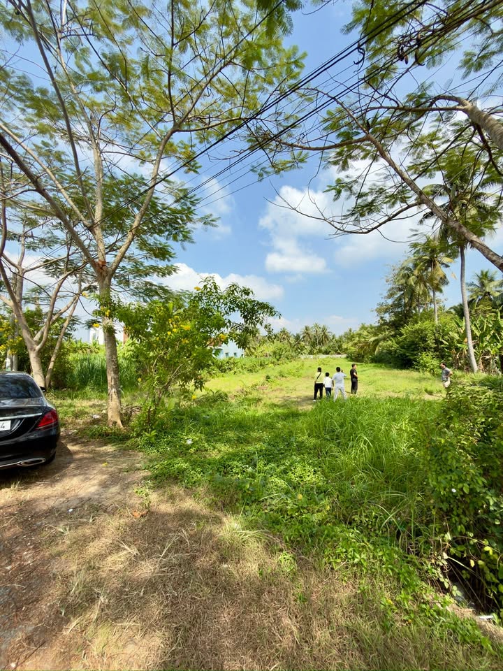 Đất nền Phong Nẫm 2098m² giá chỉ 4,3 triệu/m² - Đầu tư sinh lời tiềm năng!