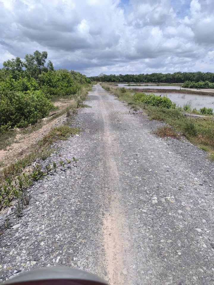 Đất nền Bảo Thạnh Ba Tri 60.000m² giá 1.8 tỷ - Đường nhựa thuận tiện giao thông!