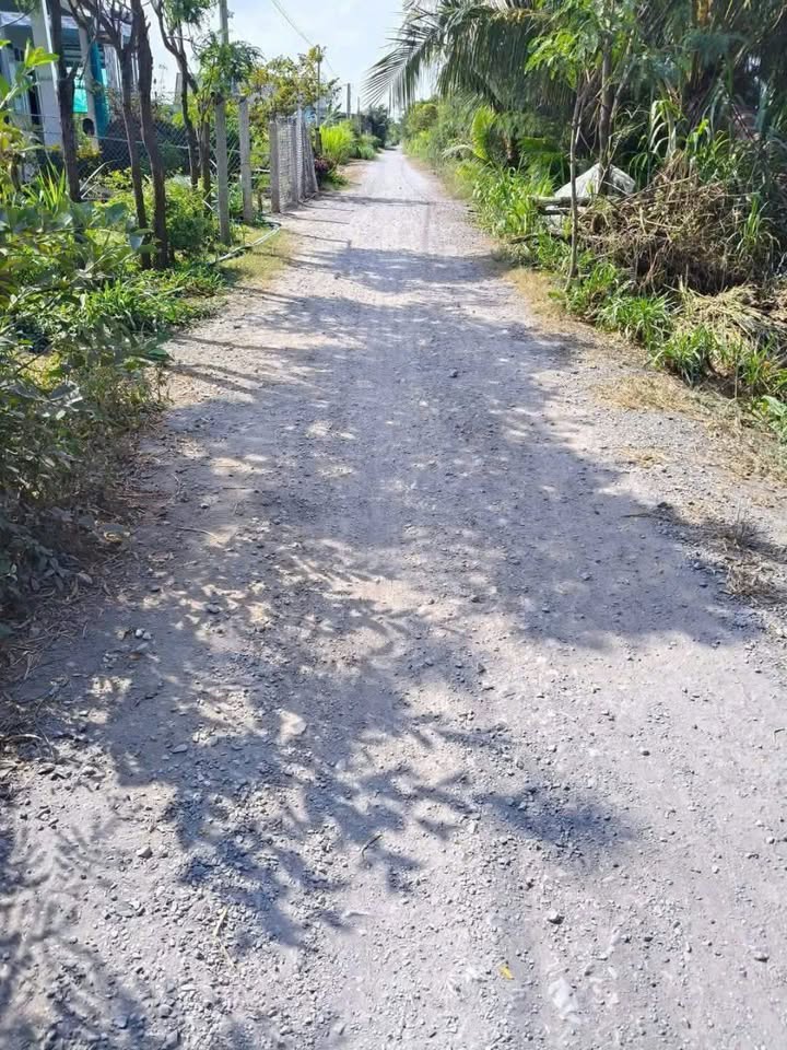 Đất thổ cư Kiểng Phước, Gò Công Đông, 262.5m² giá chỉ 400 triệu - Cơ hội đầu tư hấp dẫn!