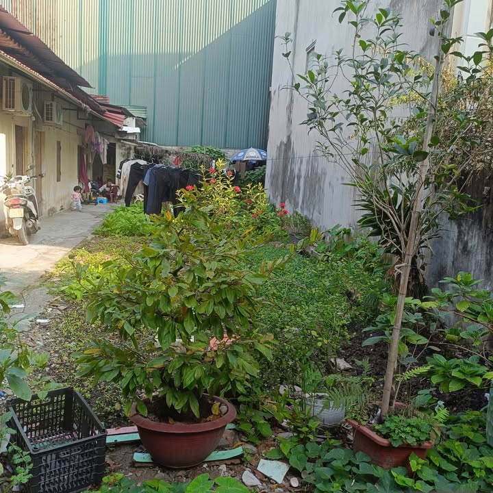 Đất nền chính chủ Thanh Bình Hải Dương 96,4m² giá 3 tỷ - Sổ hồng sang tên nhanh gọn!