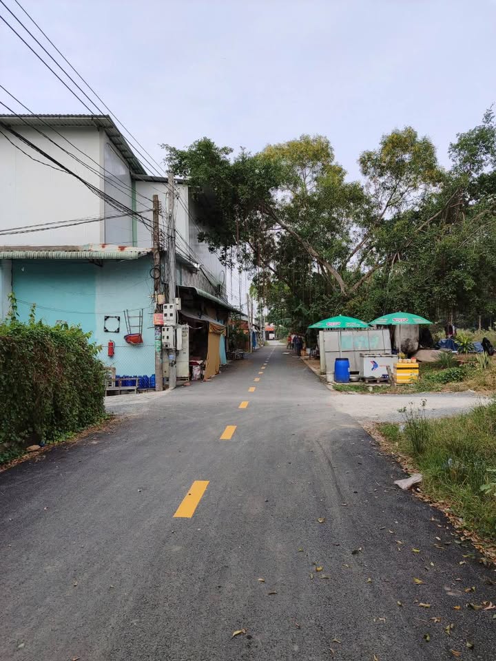 Dãy trọ Hòa Lợi, Bến Cát 130m² giá 1.95 tỷ - Đầu tư sinh lời ngay!