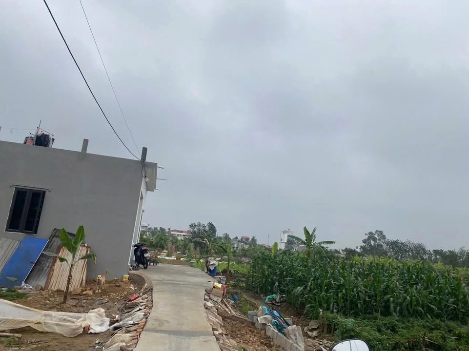 Lô đất 89m² Minh Tân, Kiến Thụy giá 890 triệu - Cơ hội đầu tư tuyệt vời!