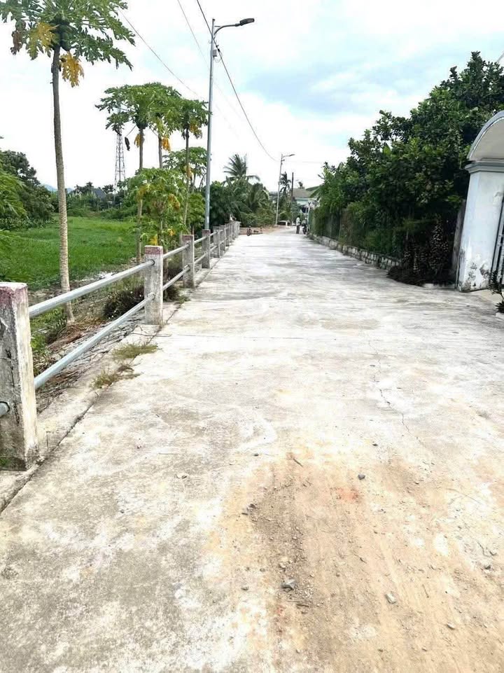 Nhà cấp 4 diện tích 68m² tại Diên Hoà giá chỉ 750 triệu - Đường bê tông 5-6m thuận tiện!