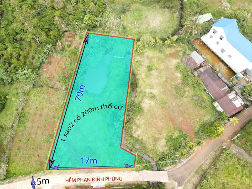 Đất thổ cư 200m² hẻm 200 Phan Đình Phùng, Đà Lạt - Giá chỉ 5.5 tỷ, bớt nhẹ!