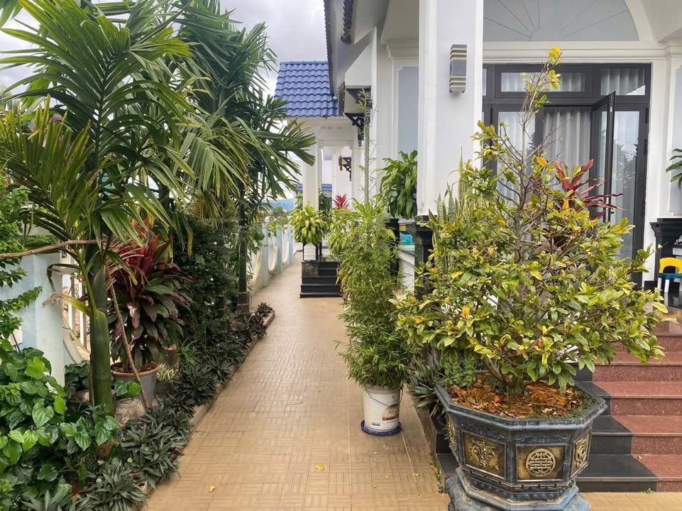 Đất nền xã Nam Ban Lâm Hà 525m² giá 5.3 tỷ - Đầu tư tiềm năng!