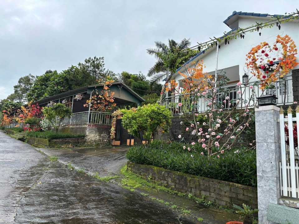 Đất nền 1626m² đường Trần Quốc Toản, B'Lao - Giá thỏa thuận hấp dẫn!