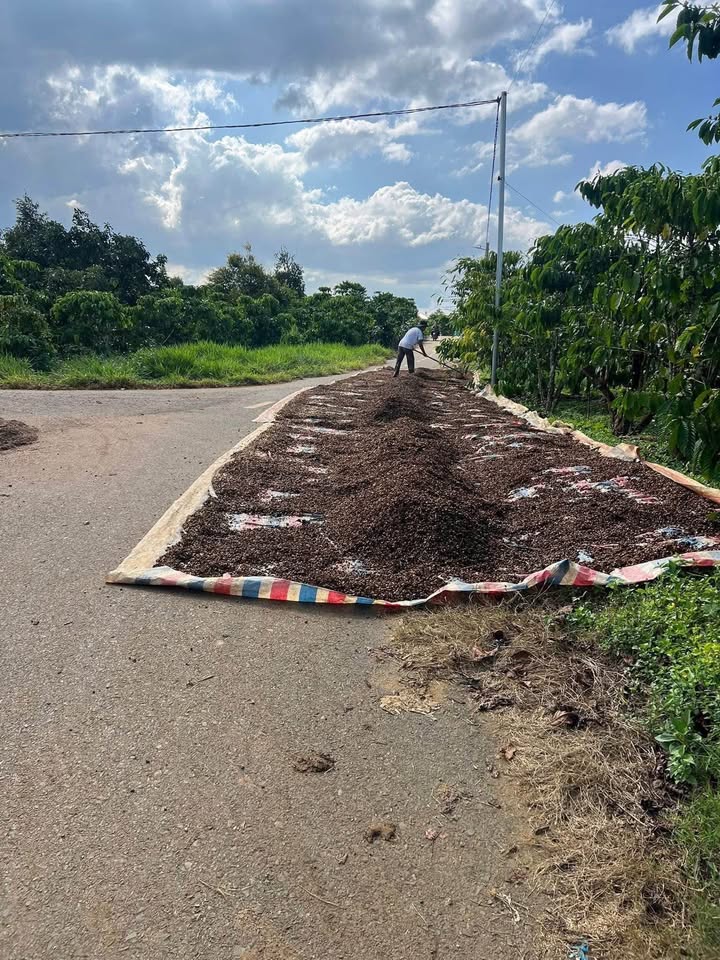 Đất Lộc An, Bảo Lâm 4200m² giá 3.5 tỷ - Đất cao ráo, dễ xây nhà vườn!