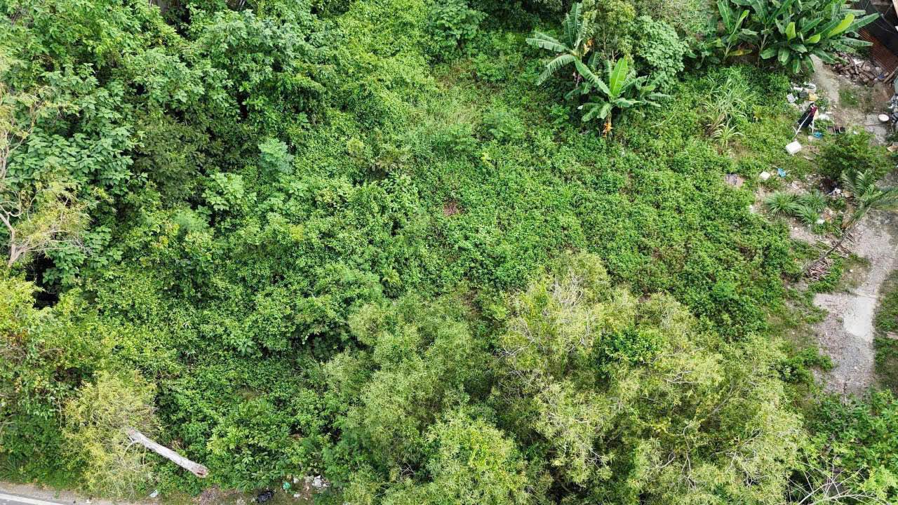 Đất nền mặt tiền Tỉnh Lộ 3, Phước Đồng 360m² giá 3.96 tỷ - Cơ hội đầu tư hiếm có!