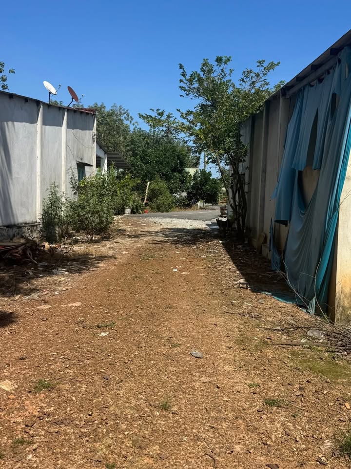 Đất nền Phước Sang Phú Giáo 165m² giá chỉ 420 triệu - Đầu tư sinh lời ngay!