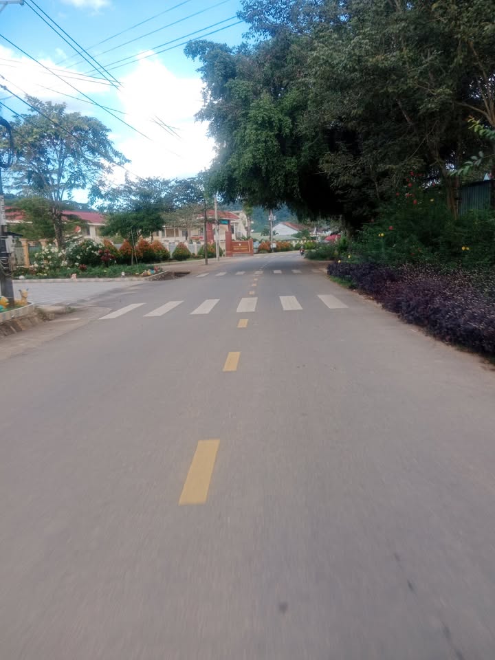 Đất thổ cư Đạ Tẻh 486m² giá thỏa thuận - Mặt tiền đường chính, sổ đỏ chính chủ!