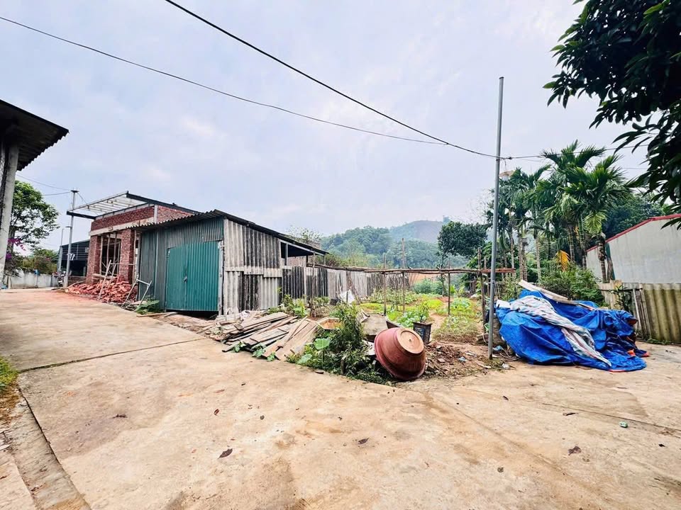 Đất nền Lào Cai 105m² giá 1.2 tỷ - Ngõ ô tô, trung tâm tiện ích!