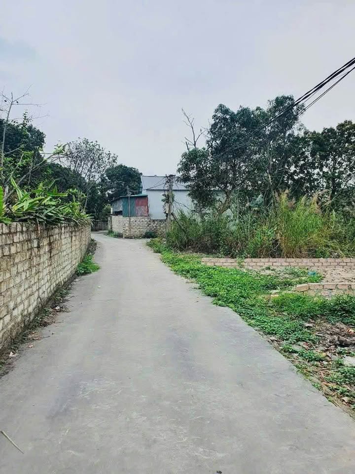 Đất nền Hồng Thái Tây, Đông Triều 170m² - Mặt tiền rộng, giá tốt nhanh tay sở hữu!