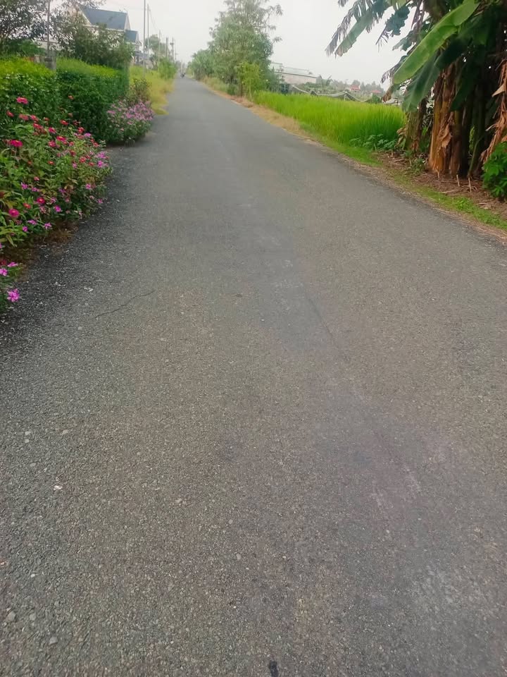 Đất thổ cư Cần Đước Long An 68m² giá 400 triệu - Đầu tư sinh lời nhanh!