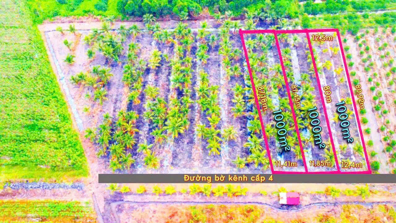 Đất vườn Tân Thành, Thủ Thừa 1000m² chỉ 440 triệu - Cơ hội đầu tư hấp dẫn!