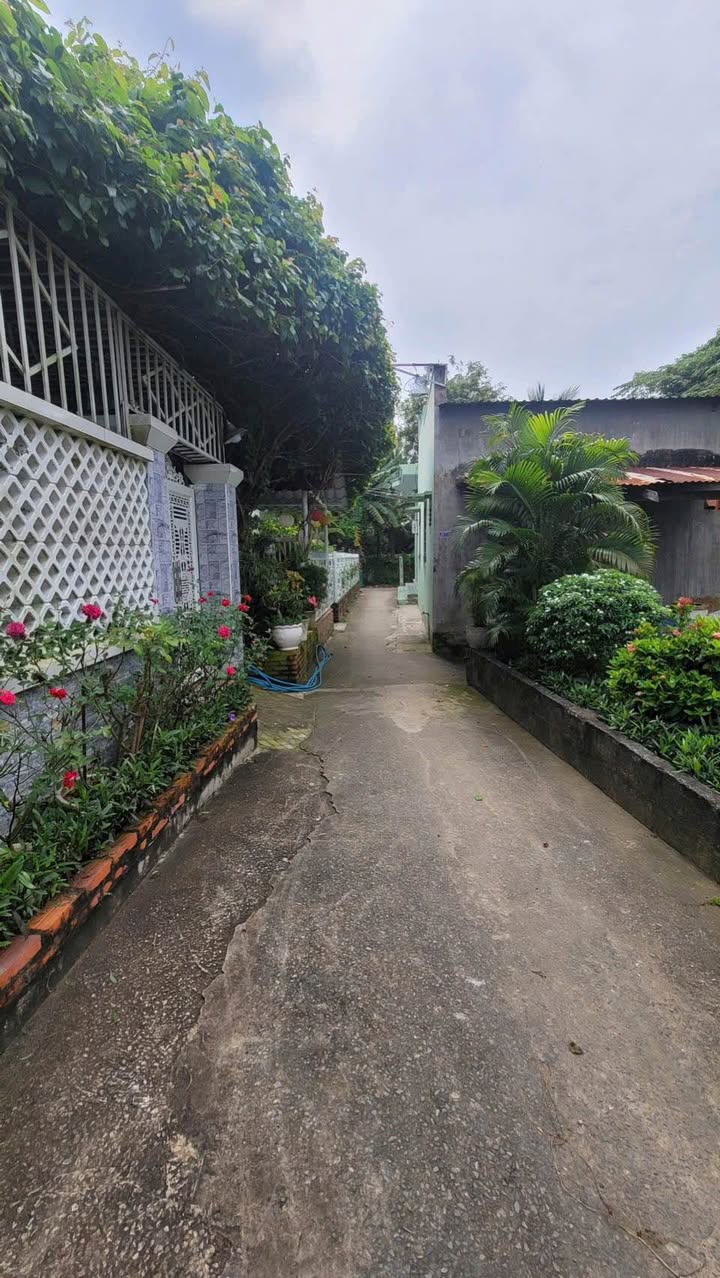 Đất thổ cư 204m² đường Phạm Thị Ngư, Phan Thiết - Chỉ 950 triệu, cơ hội đầu tư hấp dẫn!