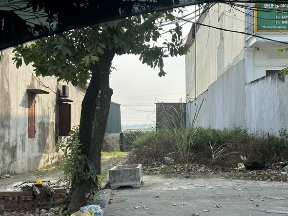 Đất nền Gia Vân Ninh Bình 120m² giá 2 tỷ - Cần bán gấp lô đất đẹp!