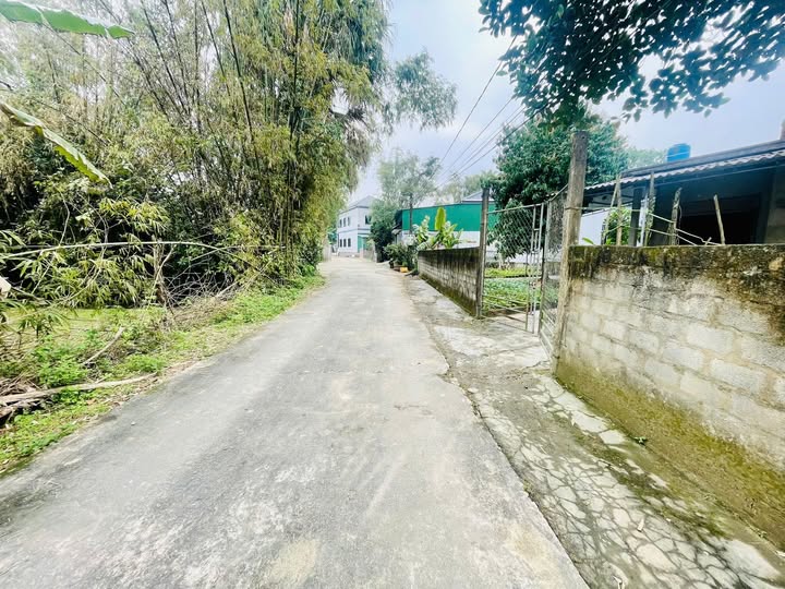 Đất nền Tân Hòa, Tân Lâm Hương 232m² giá 1,3 tỷ - Cơ hội đầu tư tuyệt vời!