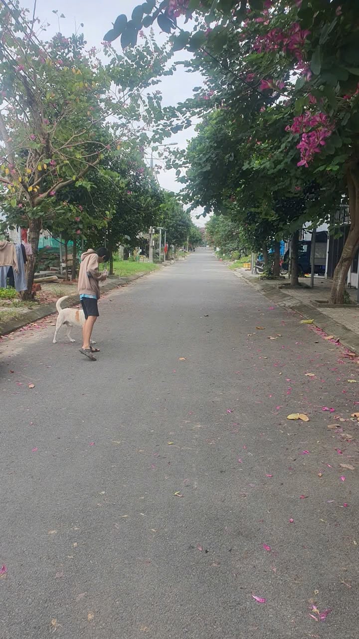 Đất nền đường Trương Vân Lĩnh, quận Liên Chiểu 100m² giá 3.3 tỷ - Cơ hội đầu tư sinh lời!