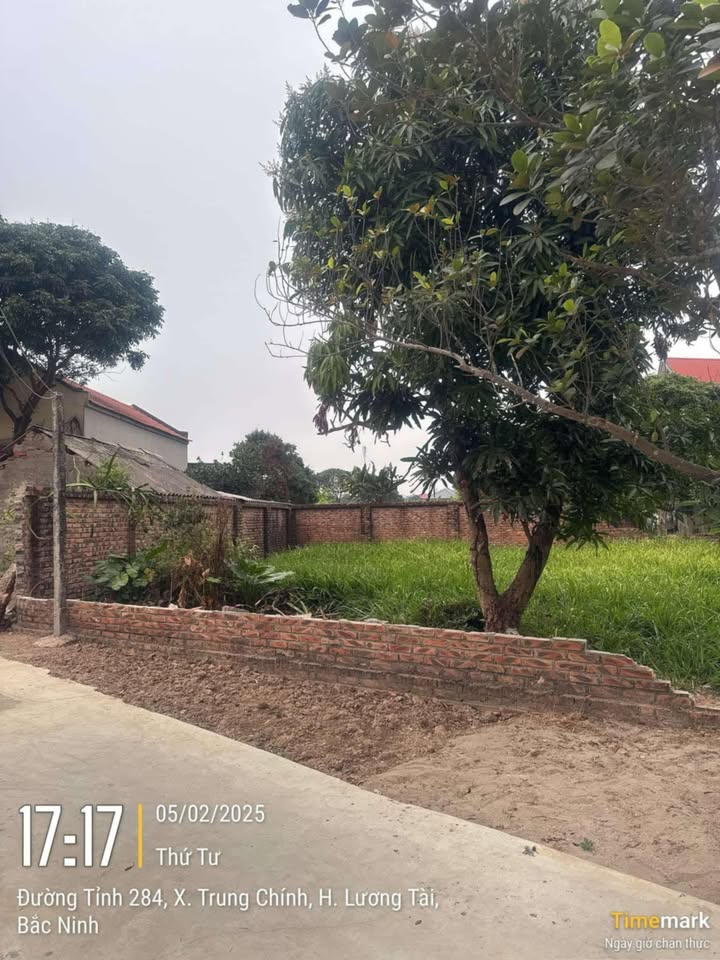 Đất nền 95m² Trung Chính, Lương Tài chỉ 1.3 tỷ - Sổ đỏ chính chủ, ô tô vào tận nơi!