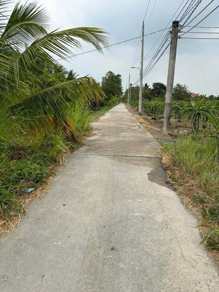 Đất thổ cư 171m² tại ấp 4, xã Phước Tân Hưng, Châu Thành, Long An - Giá chỉ 450 triệu!