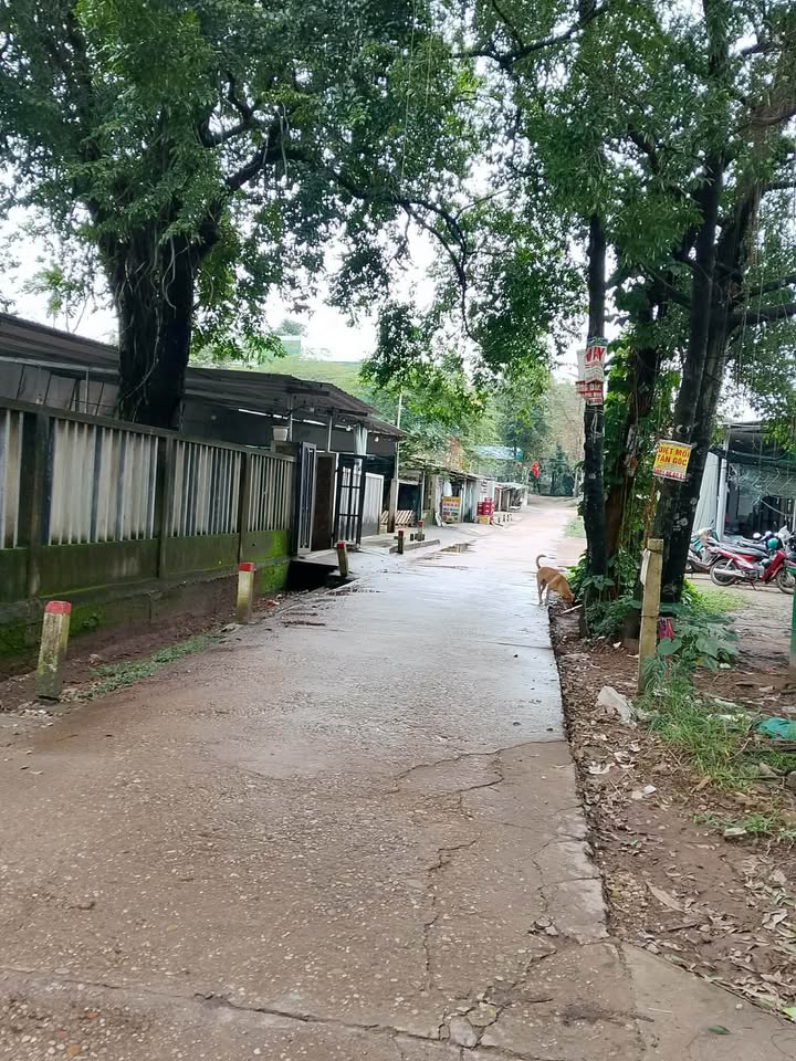 Nhà riêng Hoài Thanh, Thủy Xuân 120m² giá 1.1 tỷ - Sổ riêng, xe vào tận nơi!