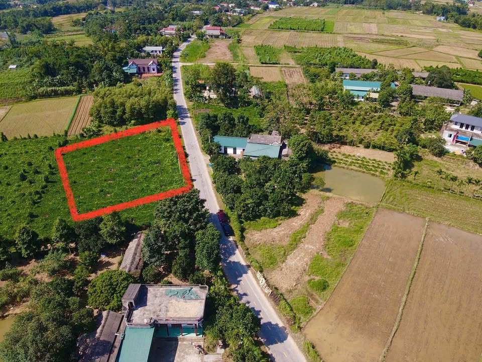 Đất thổ cư 215m² tại khu phố 9, Sơn Lương - Giá chỉ từ 6xx triệu