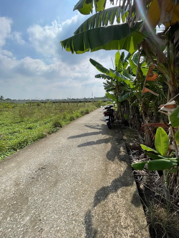 Đất nền 148.2m² xã Hiệp Thạnh, Châu Thành, Long An - Giá chỉ 430 triệu VND!