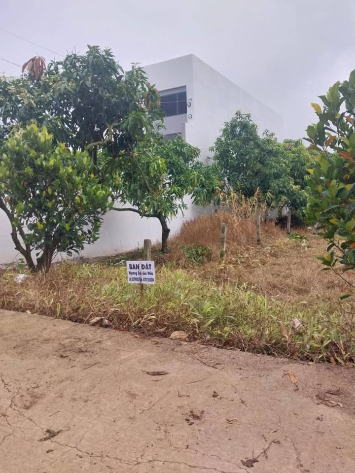 Đất nền đường Lò Rèn, phường Hoà Thuận, 580m² giá 1.6 tỷ - Đầu tư sinh lời tuyệt vời!