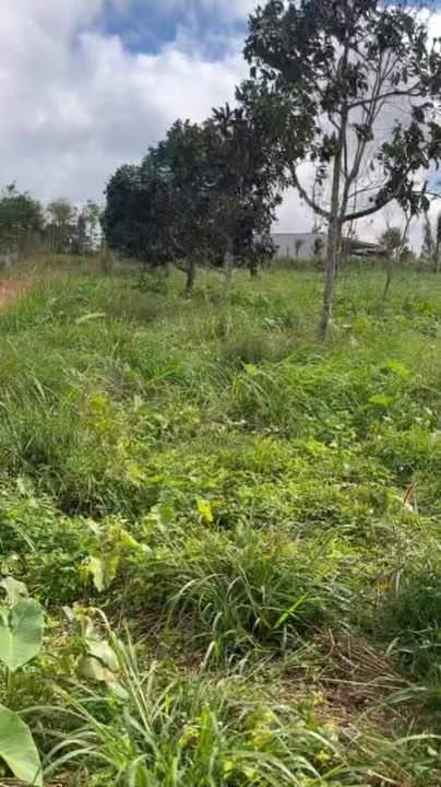 Đất nền mặt tiền 70m tại Thuận Hạnh, Đắk Song - Giá chỉ 1.45 tỷ, thương lượng nhẹ!