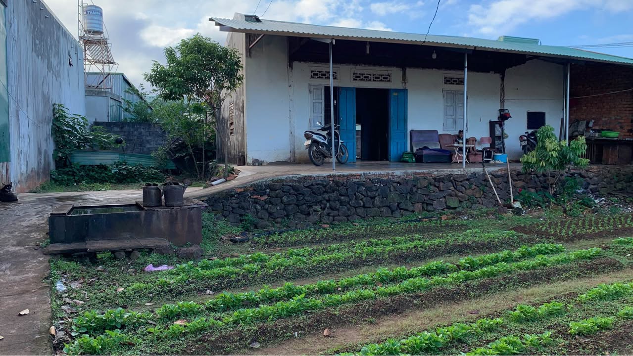 Đất thổ cư 375m² tại 52/129 đường Hồ Tùng Mậu - Giá thỏa thuận hấp dẫn!