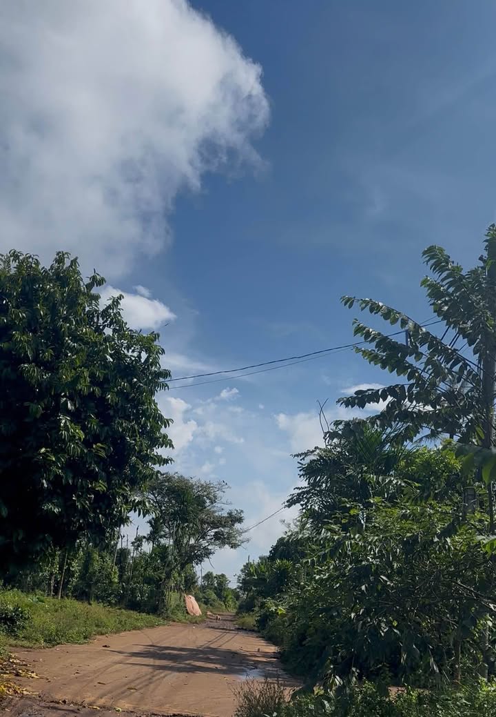 Lô đất Hòa Đông, Krông Pắc 60m² giá 627 triệu - Cơ hội đầu tư hấp dẫn!