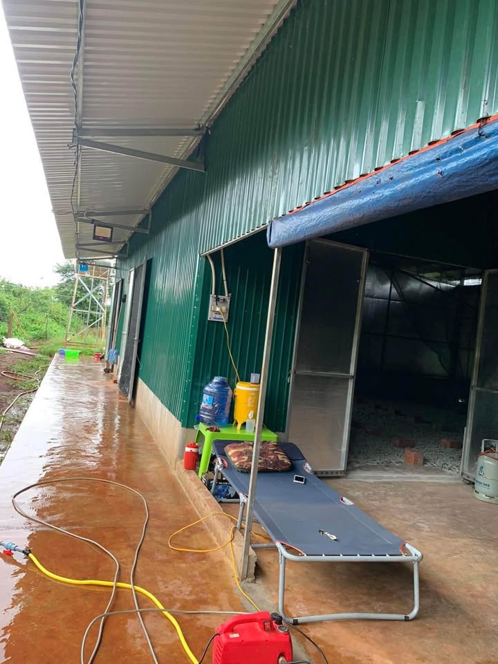 Nhà xưởng 350m² tại Quảng Phú, Cư M'gar - Thanh lý nhanh, sử dụng ngay!