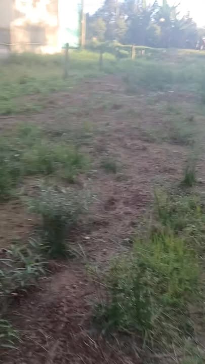 Đất nền xã Vĩnh Bình, Chợ Lách 1400m² giá 7.5 tỷ - Cơ hội đầu tư hấp dẫn!