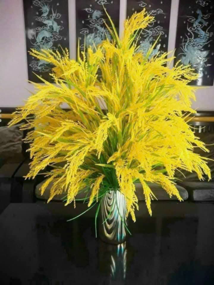 Đất nền Đồng Lộc, Can Lộc, Hà Tĩnh 600m² - Giá chỉ 600 triệu, cơ hội đầu tư hấp dẫn!