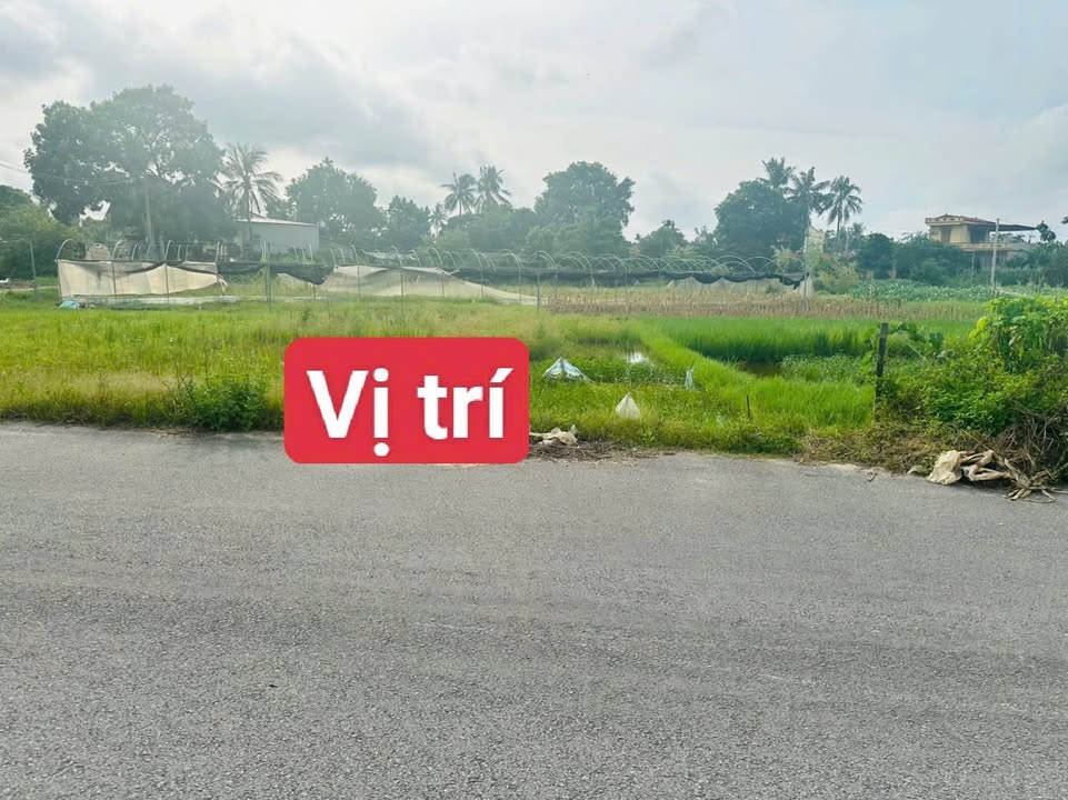 Đất nền Bút Sơn 124m² giá 1.5 tỷ - Tiềm năng đầu tư vượt trội!