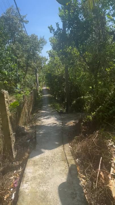 Đất nông nghiệp 3 công ở Long Khánh, Cai Lậy - Giá chỉ 2.4 tỷ, cây sầu riêng tươi tốt!