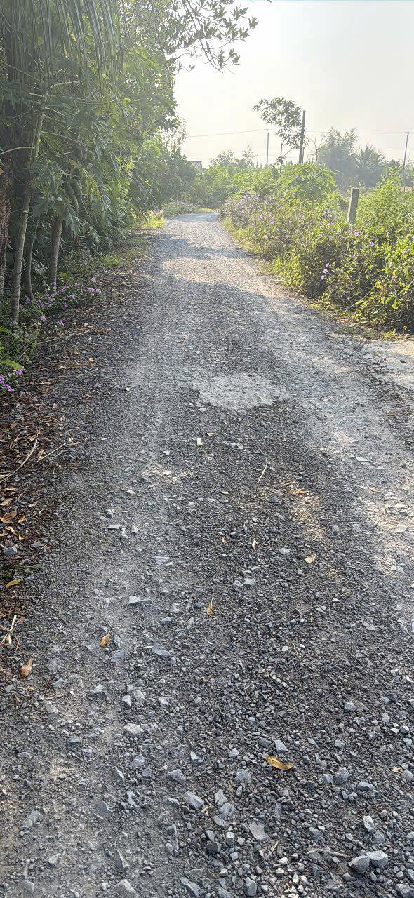 Đất nền phường Long Thuận Gò Công 77m² giá 250 triệu - Sổ hồng chính chủ ngay trung tâm!