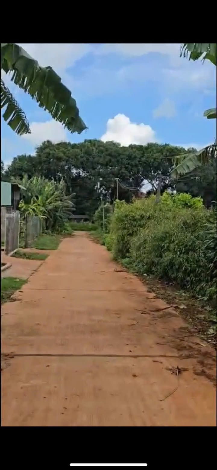 Đất thổ cư Ia Blang 1344m² giá 2.52 tỷ - Đối diện trường học