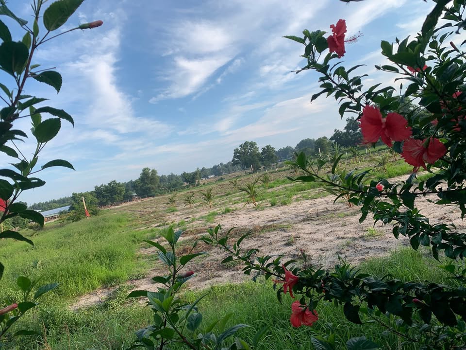 Đất nền Phước Hải 3085m² giá 3.5 tỷ - Tiềm năng đầu tư hấp dẫn!