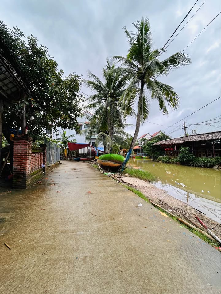 Đất nền Cẩm Thanh 266m² giá 5 tỷ - View sông tuyệt đẹp, đầu tư sinh lời!